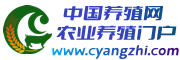 中國養殖網